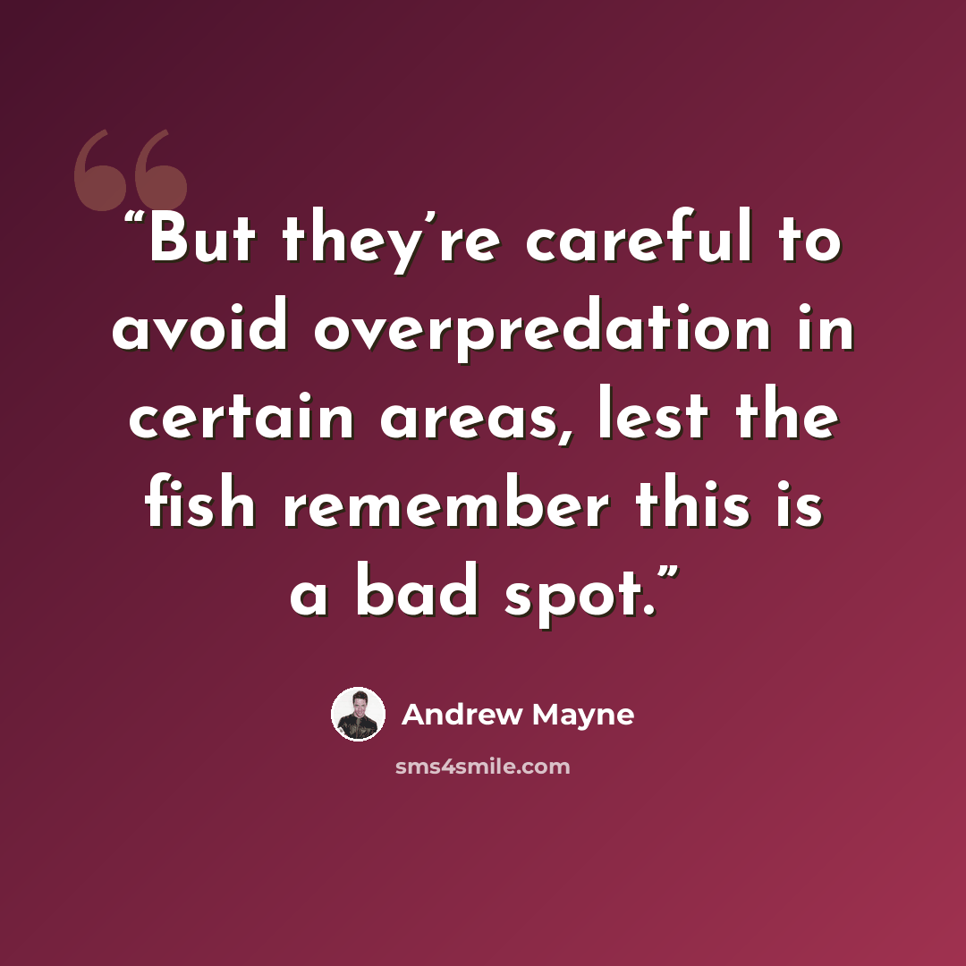 “But they’re careful to avoid overpredation in certain areas, lest the fish remember this is a bad spot.” quote by Andrew Mayne