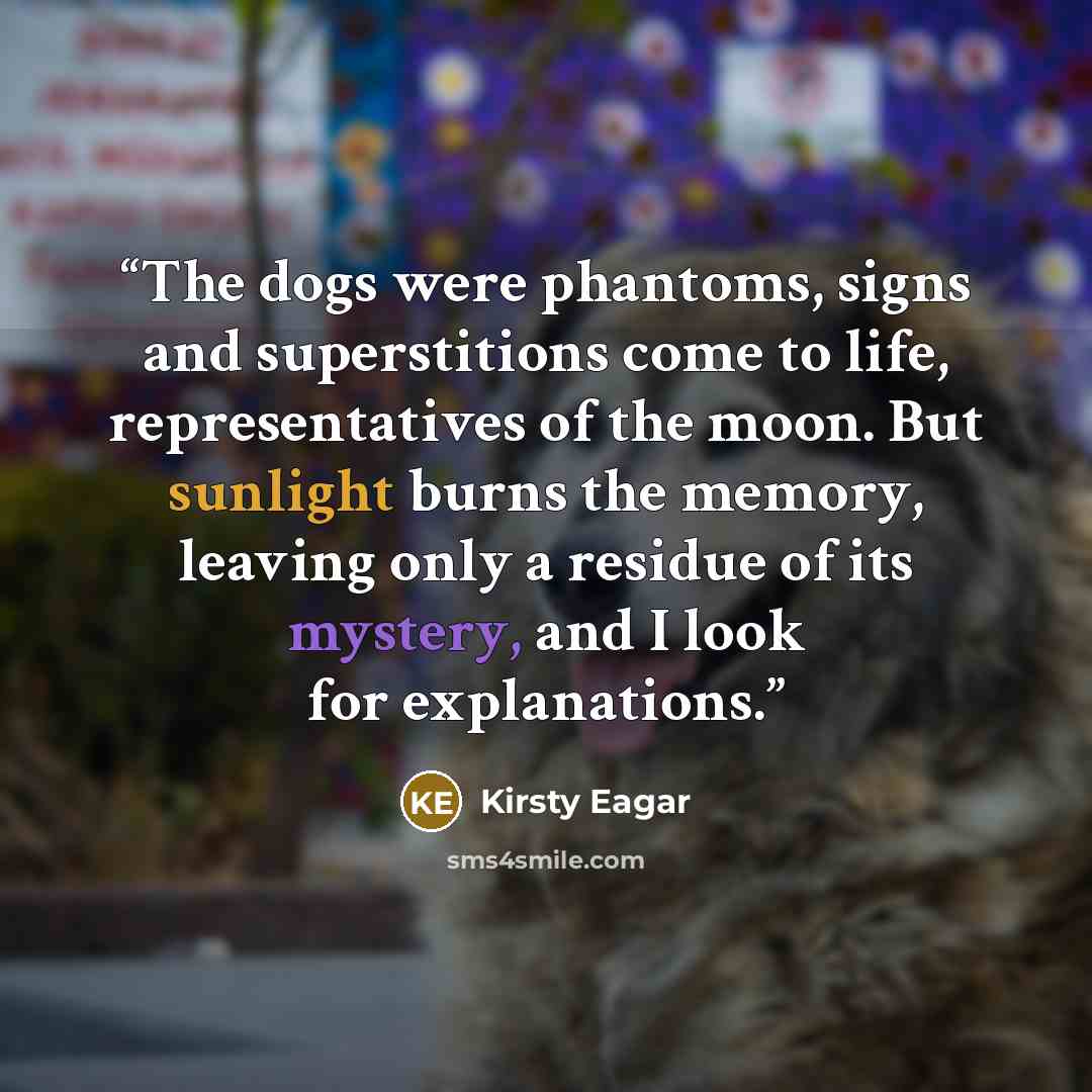 “The dogs were phantoms, signs and superstitions come to life, representatives of the moon. But sunlight burns the memory, leaving only a residue of its mystery, and I look for explanations.” quote by Kirsty Eagar
