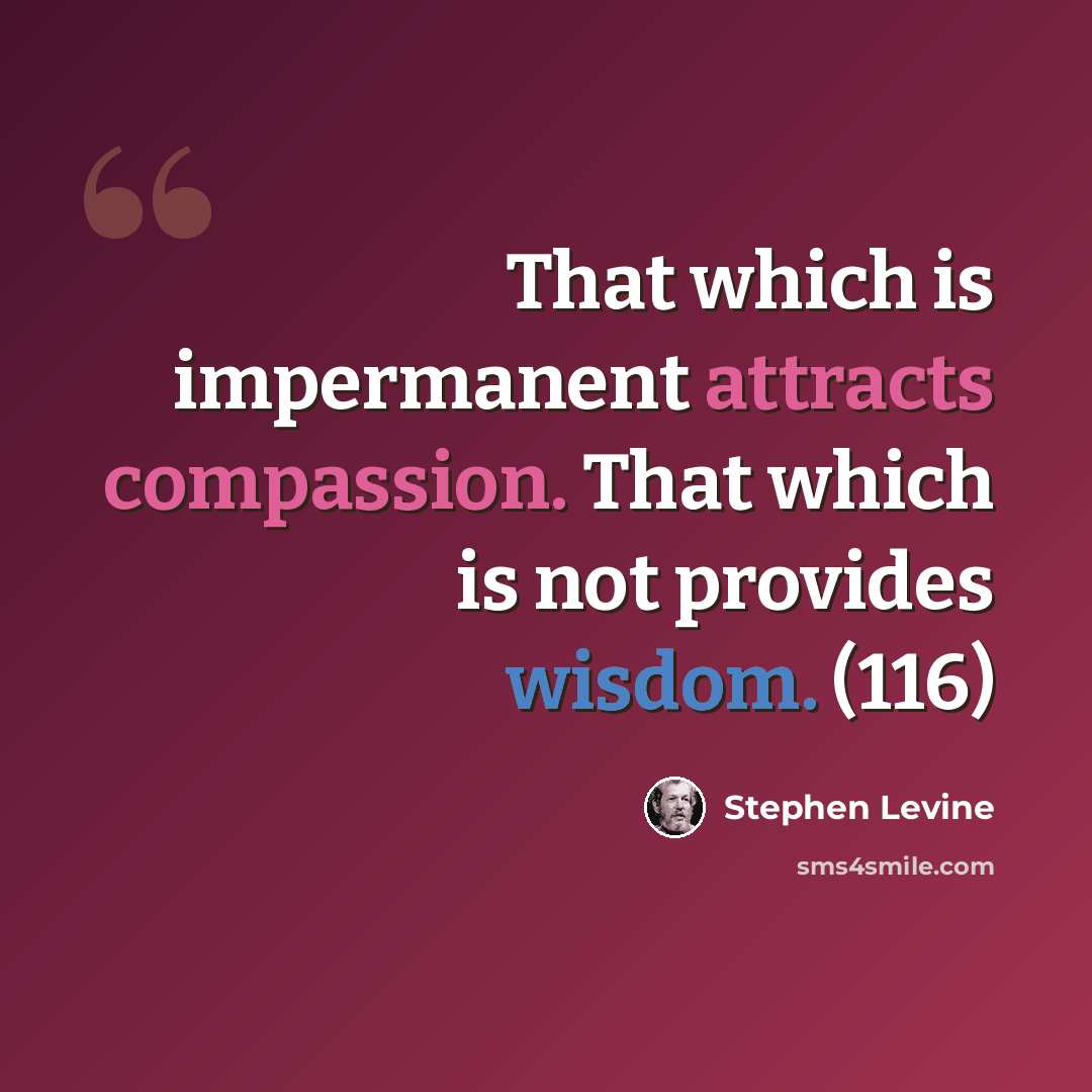 “That which is impermanent attracts compassion. That which is not provides wisdom. (116)” quote by Stephen Levine