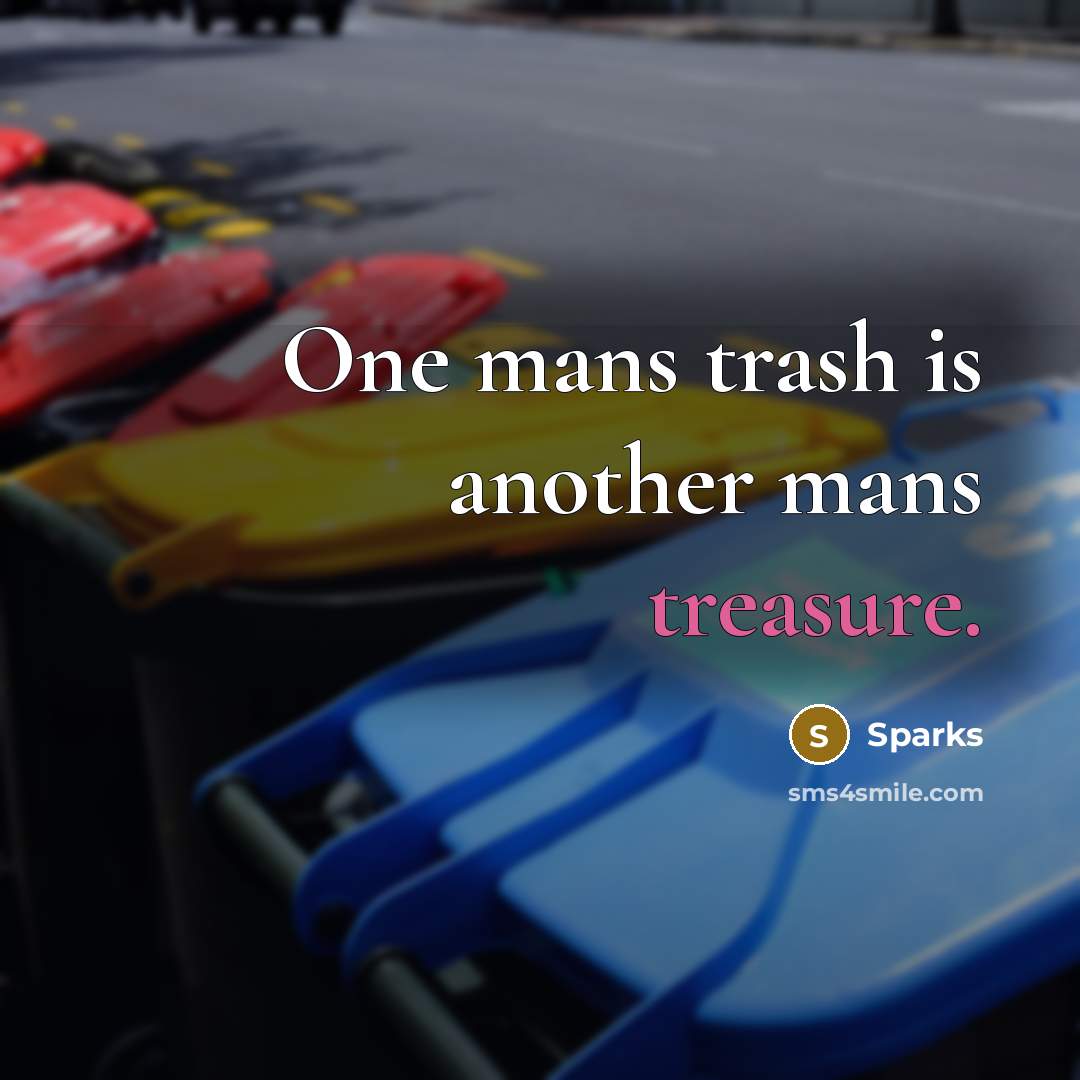 “One mans trash is another mans treasure.” quote by Sparks