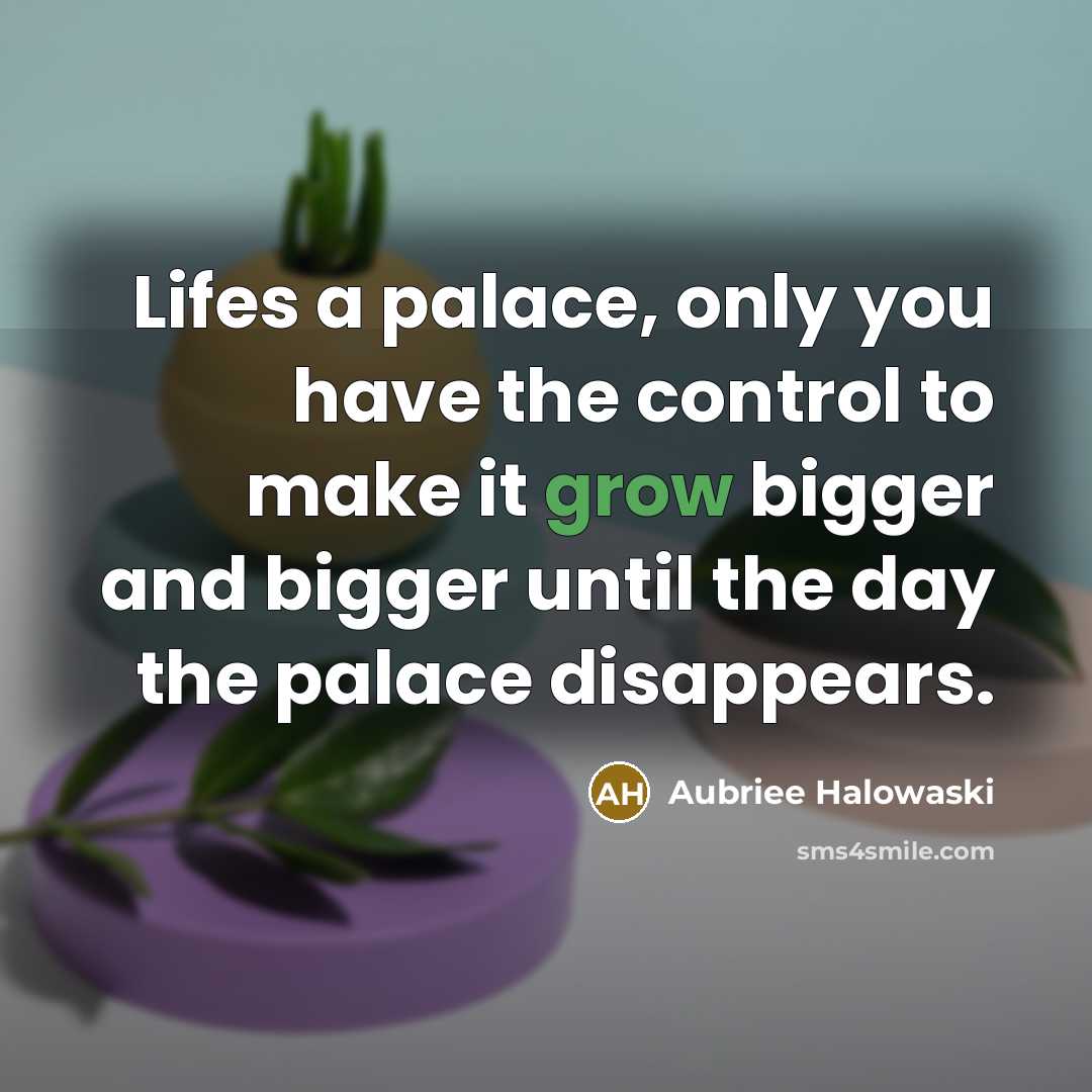 “Lifes a palace, only you have the control to make it grow bigger and bigger until the day the palace disappears.” quote by Aubriee Halowaski