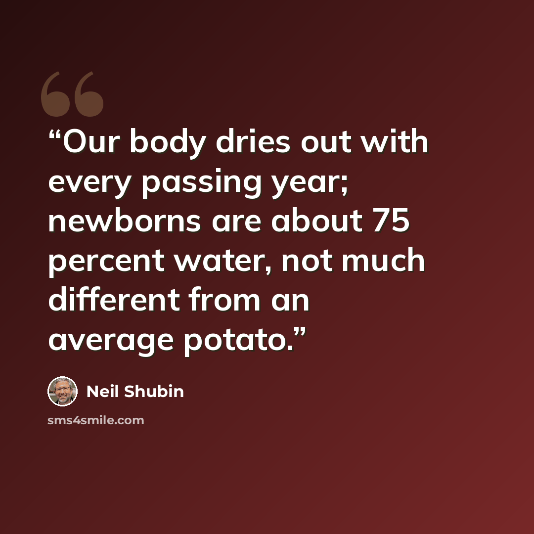 “Our body dries out with every passing year; newborns are about 75 percent water, not much different from an average potato.” quote by Neil Shubin