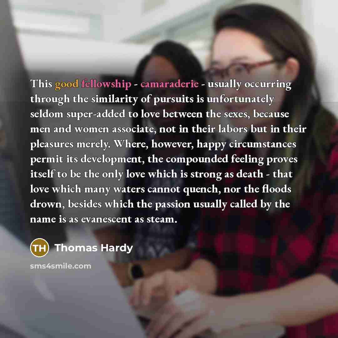 “This good fellowship - camaraderie - usually occurring through the similarity of pursuits is unfortunately seldom super-added to love between the sexes, because men and women associate, not in their labors but in their pleasures merely. Where, however, happy circumstances permit its development…” quote by Thomas Hardy