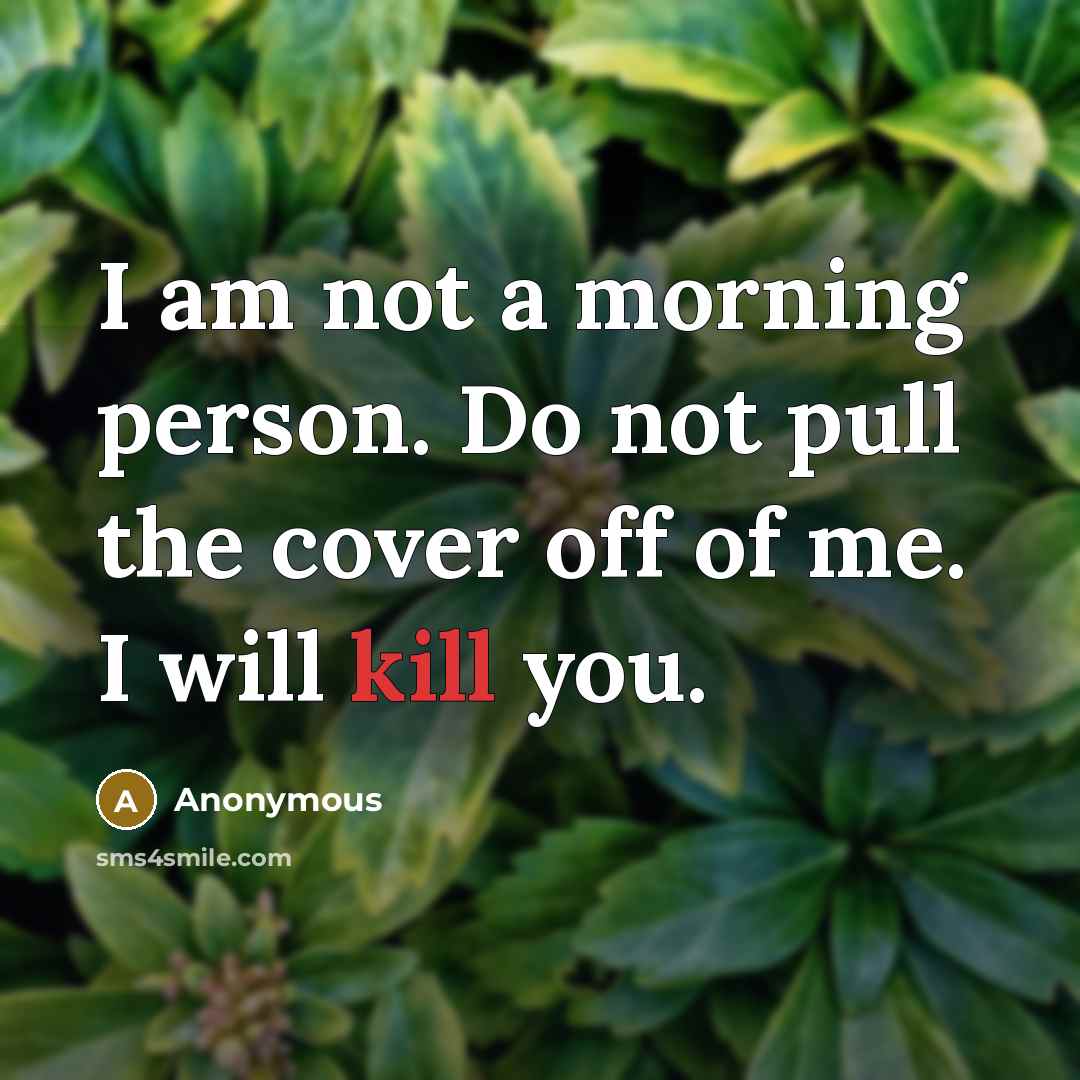 “I am not a morning person. Do not pull the cover off of me. I will kill you.” quote by Anonymous