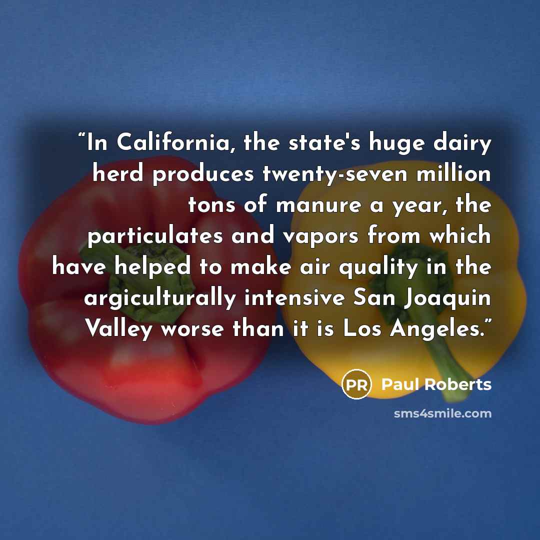 “In California, the state's huge dairy herd produces twenty-seven million tons of manure a year, the particulates and vapors from which have helped to make air quality in the argiculturally intensive San Joaquin Valley worse than it is Los Angeles.” quote by Paul Roberts