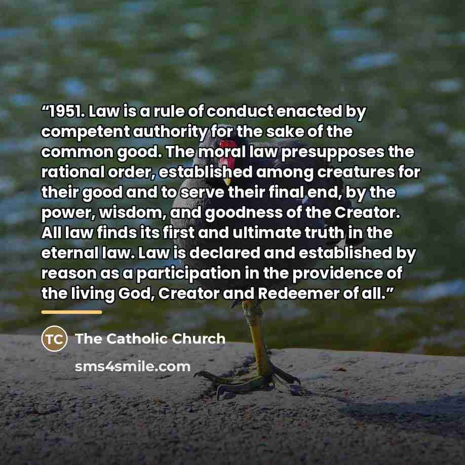 “1951. Law is a rule of conduct enacted by competent authority for the sake of the common good. The moral law presupposes the rational order, established among creatures for their good and to serve their final end, by the power, wisdom, and goodness of the Creator. All law finds its first and…” quote by The Catholic Church
