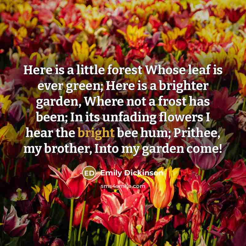 “Here is a little forest Whose leaf is ever green; Here is a brighter garden, Where not a frost has been; In its unfading flowers I hear the bright bee hum; Prithee, my brother, Into my garden come!” quote by Emily Dickinson