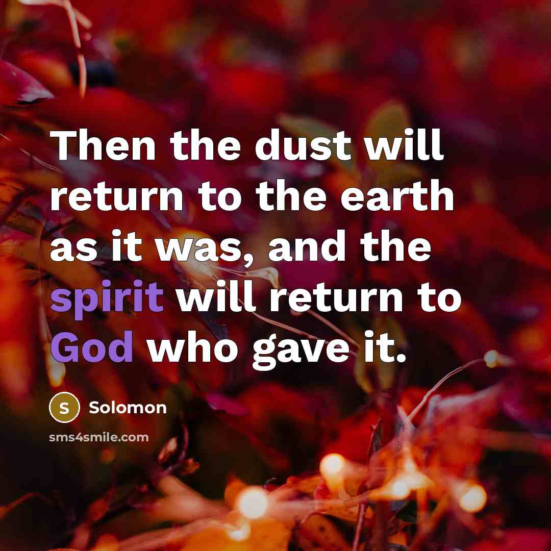 “Then the dust will return to the earth as it was, and the spirit will return to God who gave it.” quote by Solomon