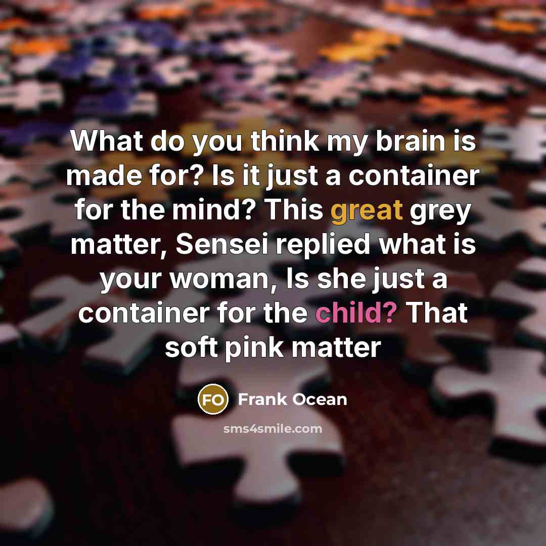 “What do you think my brain is made for? Is it just a container for the mind? This great grey matter, Sensei replied what is your woman, Is she just a container for the child? That soft pink matter” quote by Frank Ocean