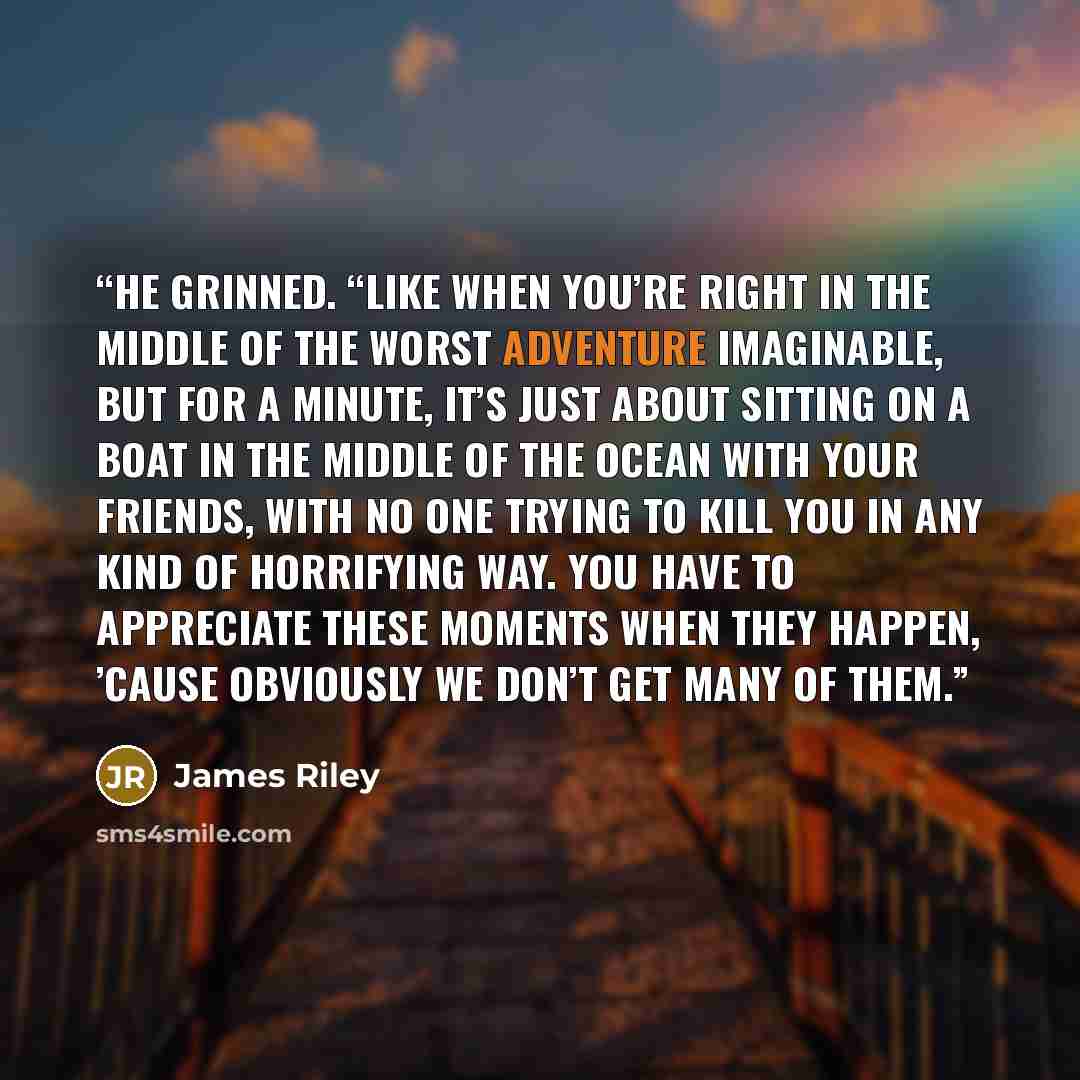 “He grinned. “Like when you’re right in the middle of the worst adventure imaginable, but for a minute, it’s just about sitting on a boat in the middle of the ocean with your friends, with no one trying to kill you in any kind of horrifying way. You have to appreciate these moments when they…” quote by James Riley