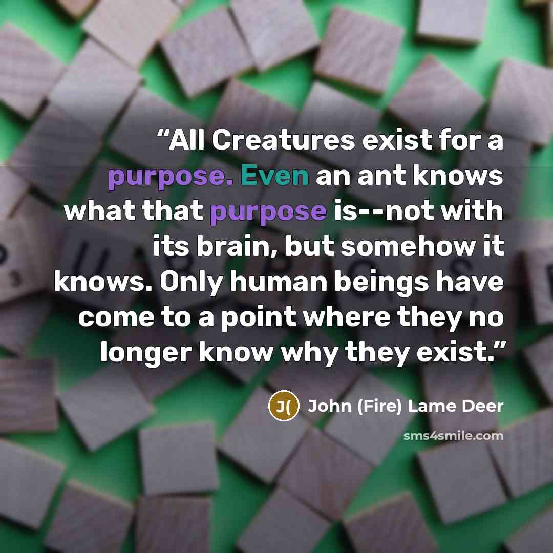 “All Creatures exist for a purpose. Even an ant knows what that purpose is--not with its brain, but somehow it knows. Only human beings have come to a point where they no longer know why they exist.” quote by John (Fire) Lame Deer