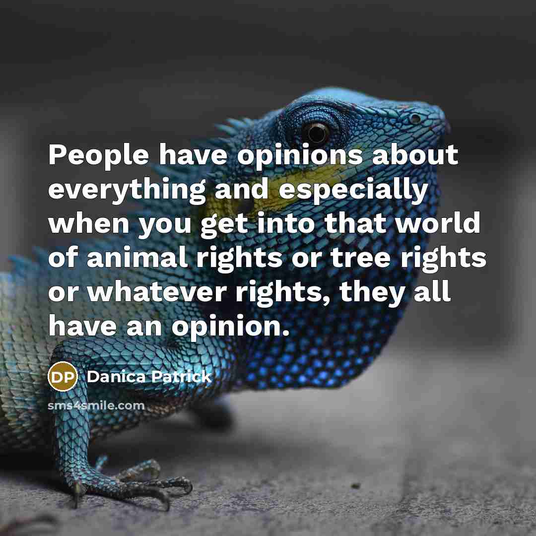 “People have opinions about everything and especially when you get into that world of animal rights or tree rights or whatever rights, they all have an opinion.” quote by Danica Patrick