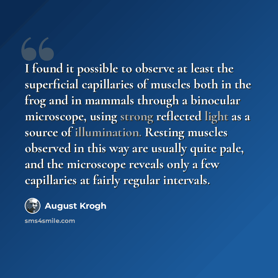“I found it possible to observe at least the superficial capillaries of muscles both in the frog and in mammals through a binocular microscope, using strong reflected light as a source of illumination. Resting muscles observed in this way are usually quite pale, and the microscope reveals only a…” quote by August Krogh