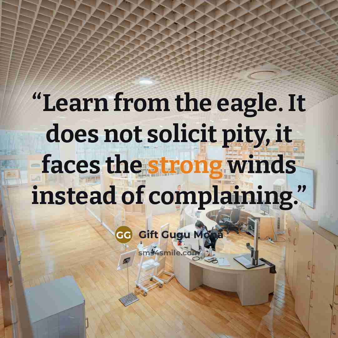 “Learn from the eagle. It does not solicit pity, it faces the strong winds instead of complaining.” quote by Gift Gugu Mona