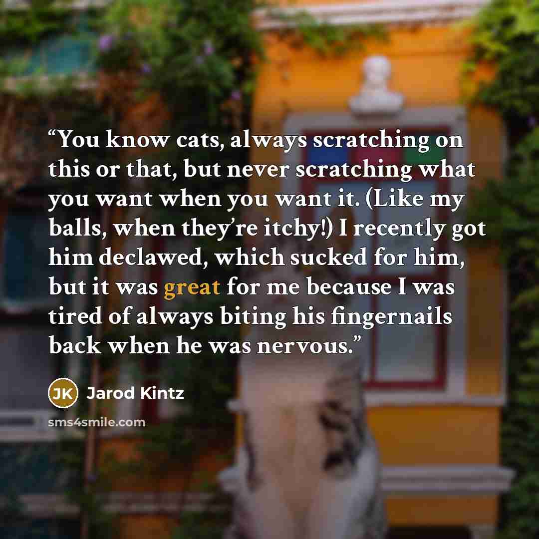 “You know cats, always scratching on this or that, but never scratching what you want when you want it. (Like my balls, when they’re itchy!) I recently got him declawed, which sucked for him, but it was great for me because I was tired of always biting his fingernails back when he was nervous.” quote by Jarod Kintz