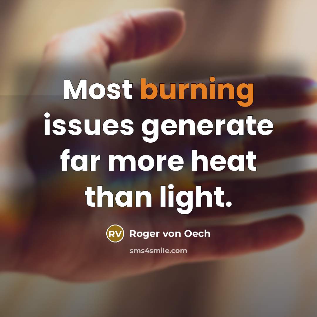 “Most burning issues generate far more heat than light.” quote by Roger von Oech