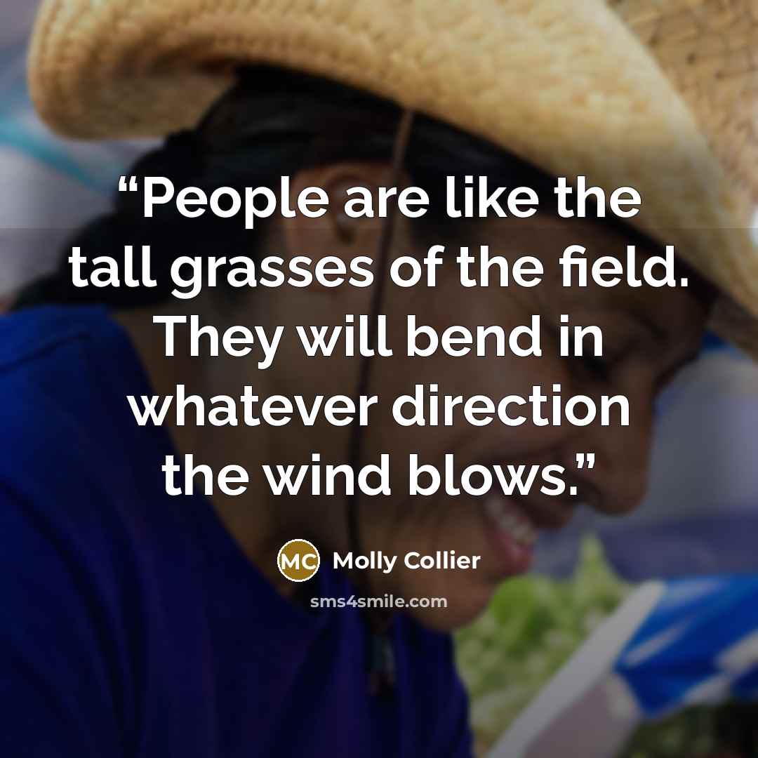 “People are like the tall grasses of the field. They will bend in whatever direction the wind blows.” quote by Molly Collier