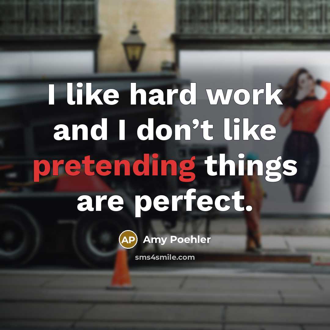“I like hard work and I don’t like pretending things are perfect.” quote by Amy Poehler