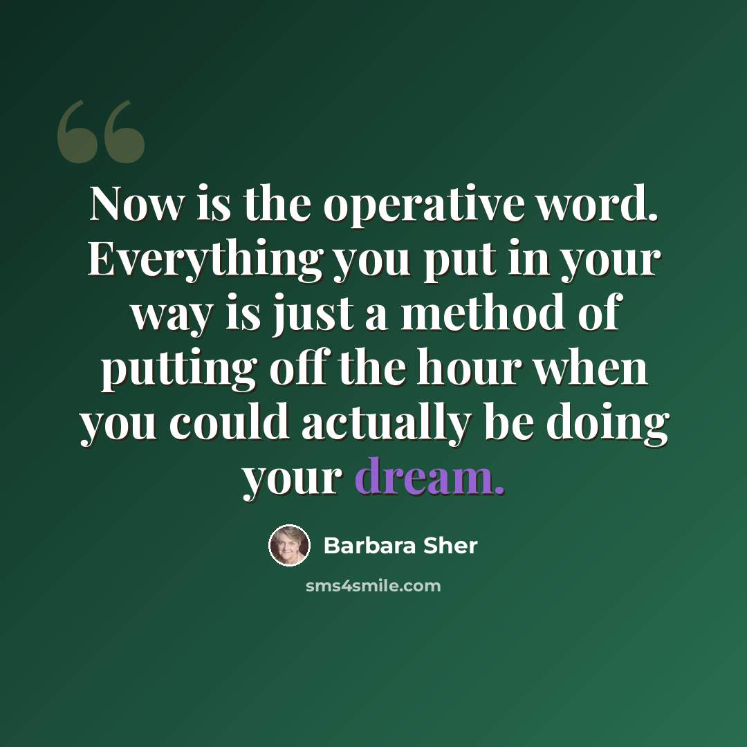 “Now is the operative word. Everything you put in your way is just a method of putting off the hour when you could actually be doing your dream.” quote by Barbara Sher