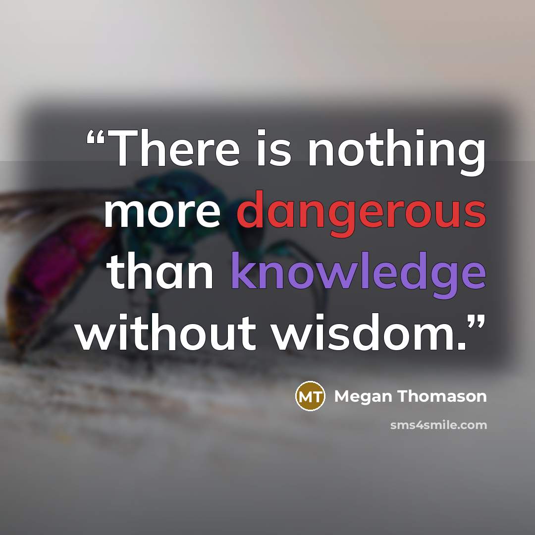 “There is nothing more dangerous than knowledge without wisdom.” quote by Megan Thomason