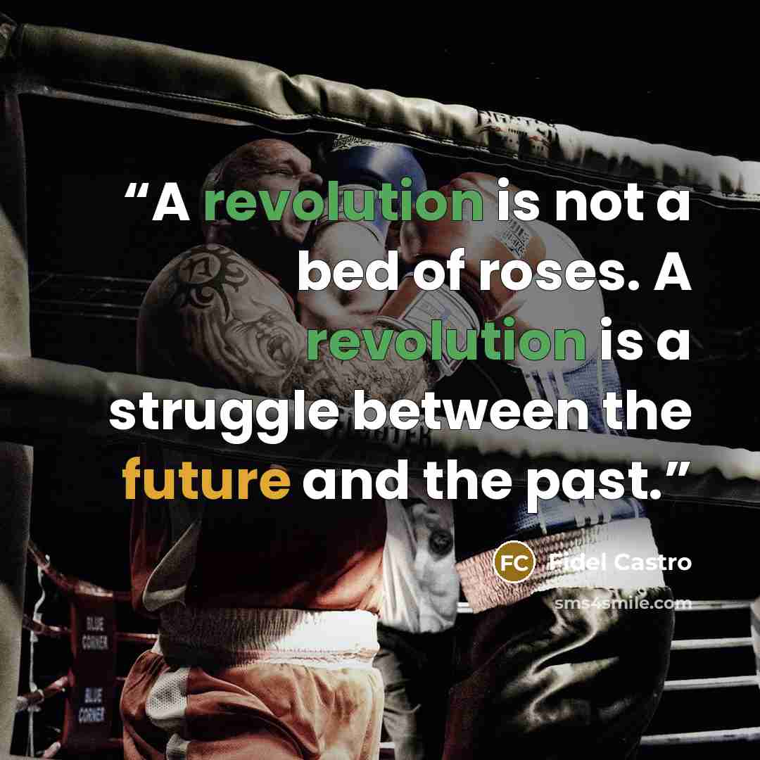 “A revolution is not a bed of roses. A revolution is a struggle between the future and the past.” quote by Fidel Castro