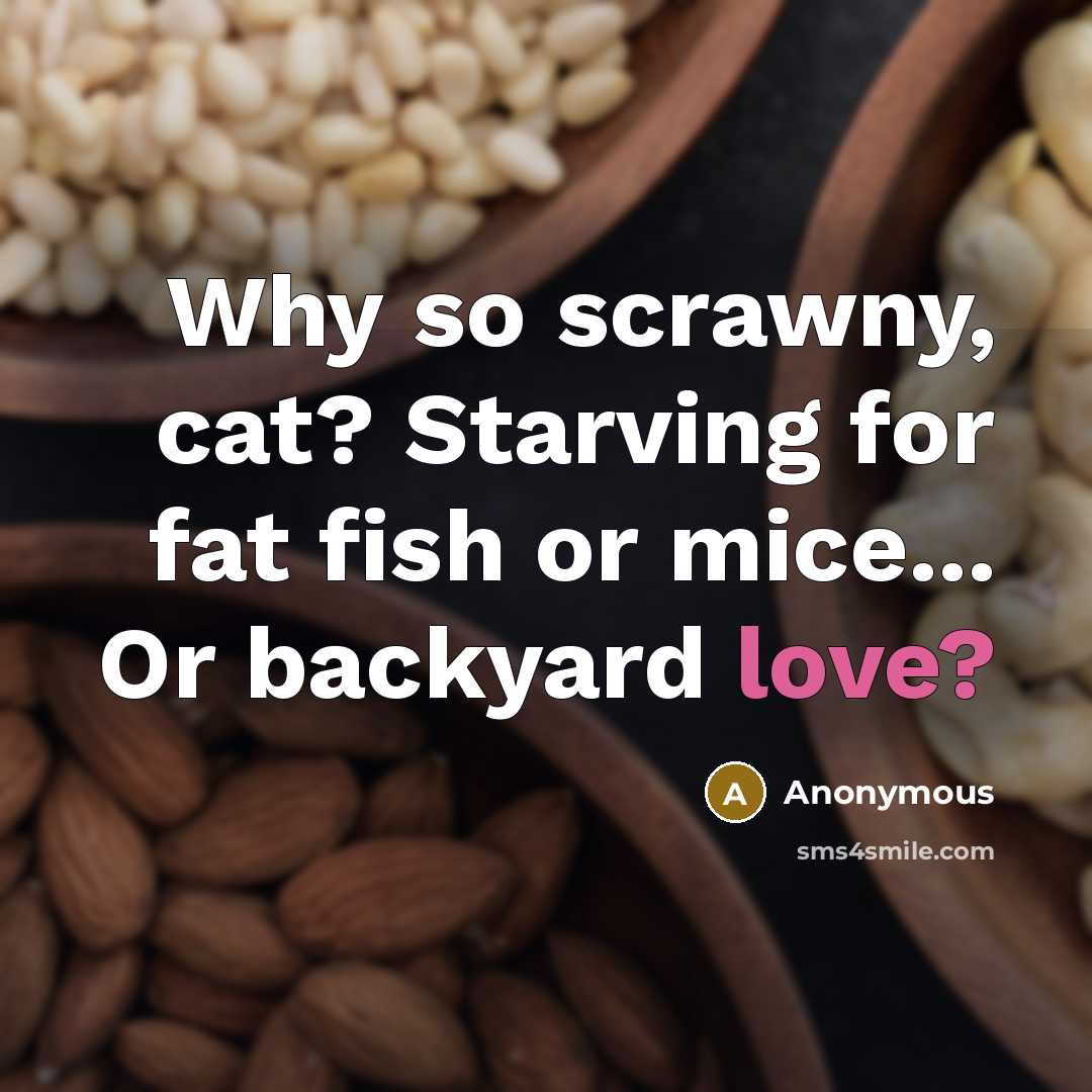 “Why so scrawny, cat? Starving for fat fish or mice... Or backyard love?” quote by Anonymous