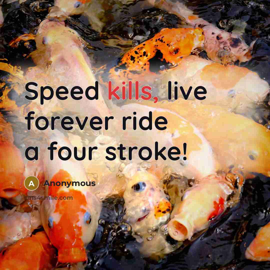 “Speed kills, live forever ride a four stroke!” quote by Anonymous