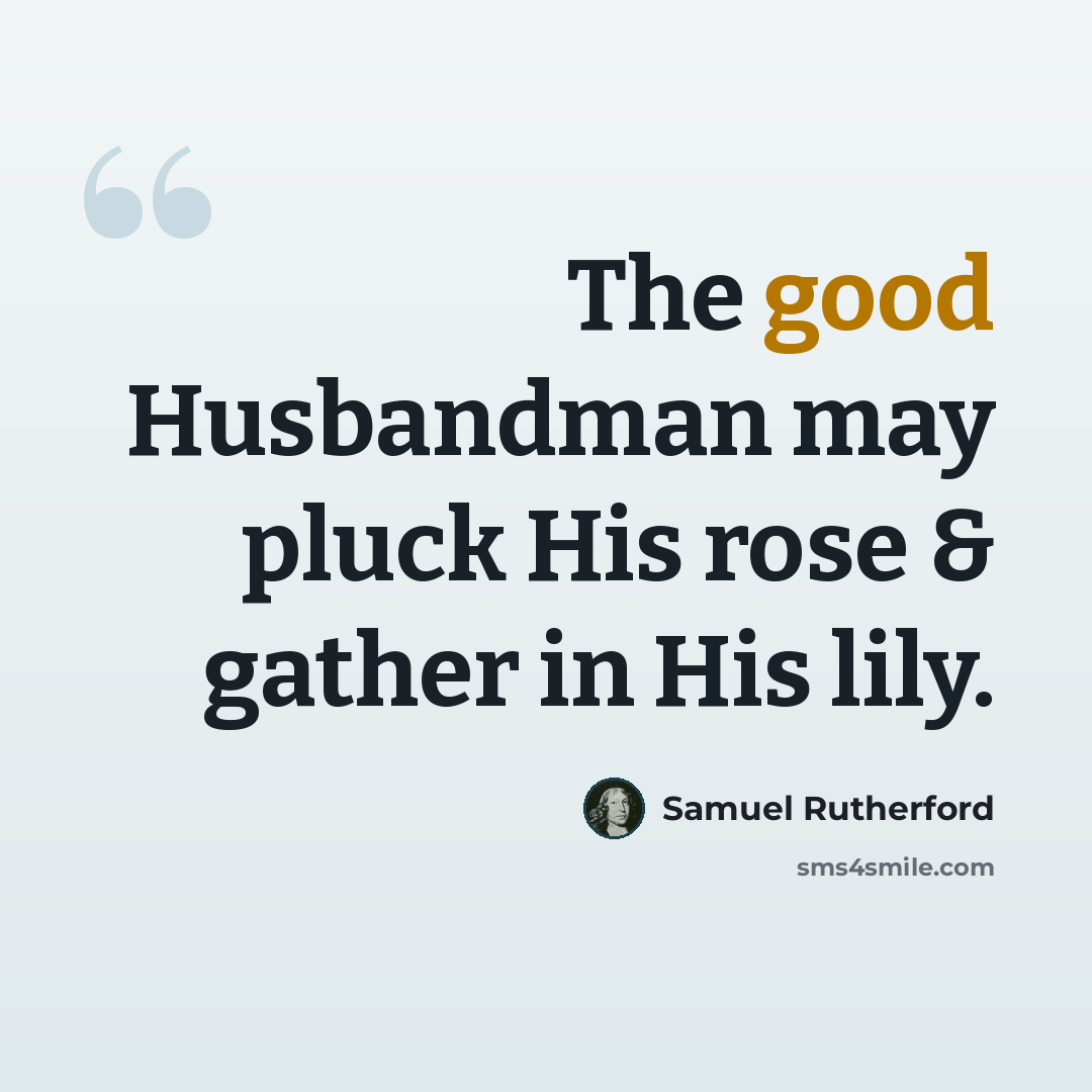 “The good Husbandman may pluck His rose & gather in His lily.” quote by Samuel Rutherford