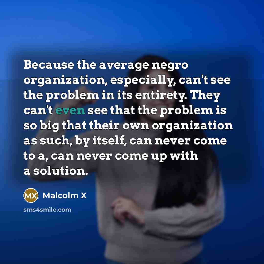 “Because the average negro organization, especially, can't see the problem in its entirety. They can't even see that the problem is so big that their own organization as such, by itself, can never come to a, can never come up with a solution.” quote by Malcolm X