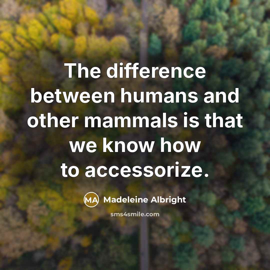 “The difference between humans and other mammals is that we know how to accessorize.” quote by Madeleine Albright