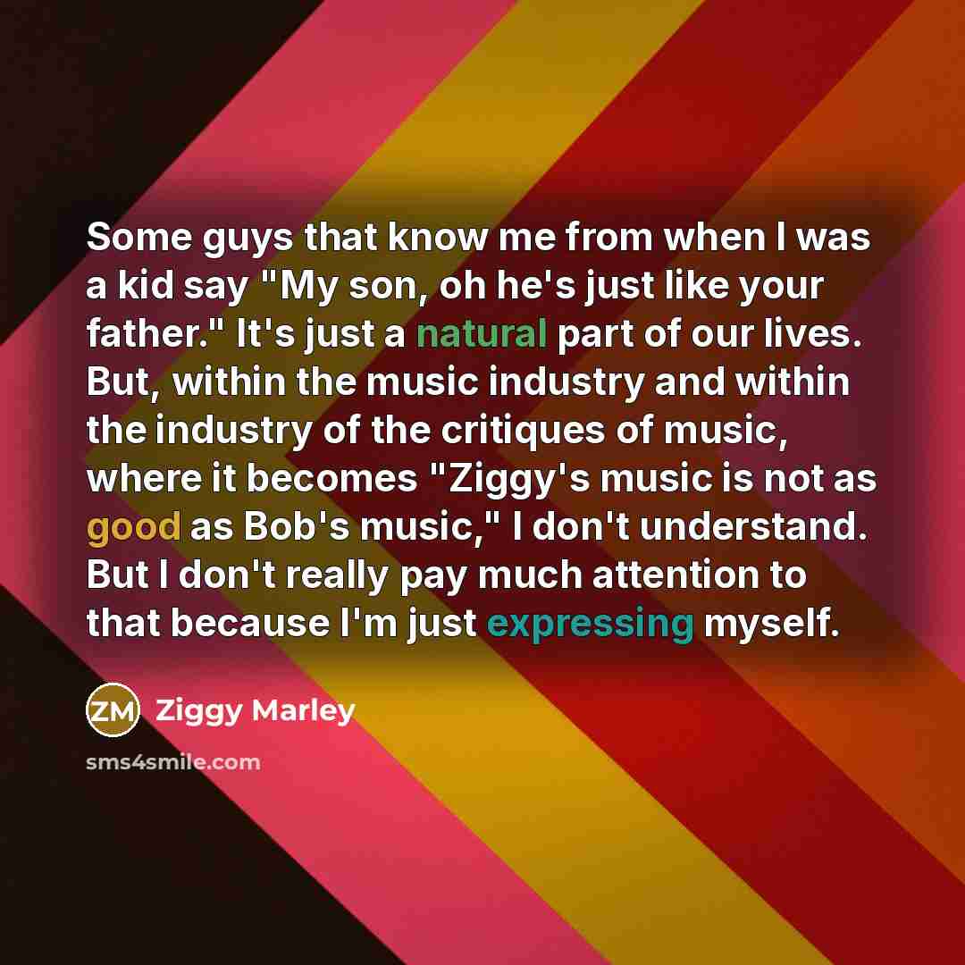 “Some guys that know me from when I was a kid say "My son, oh he's just like your father." It's just a natural part of our lives. But, within the music industry and within the industry of the critiques of music, where it becomes "Ziggy's music is not as good as Bob's music," I don't understand. But…” quote by Ziggy Marley