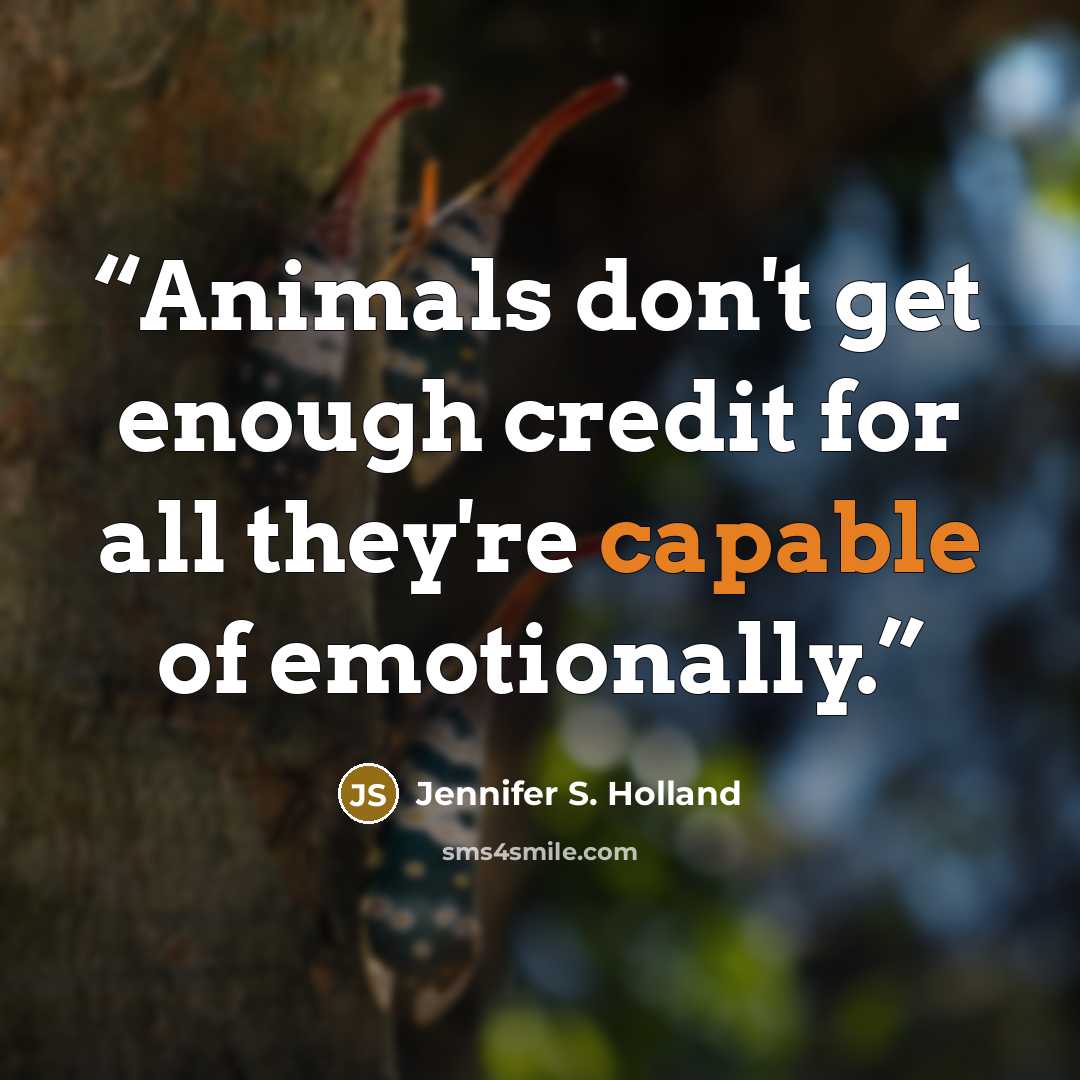 “Animals don't get enough credit for all they're capable of emotionally.” quote by Jennifer S. Holland