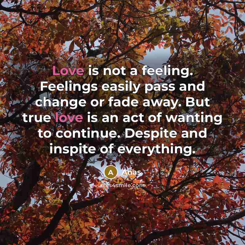 “Love is not a feeling. Feelings easily pass and change or fade away. But true love is an act of wanting to continue. Despite and inspite of everything.” quote by Anas