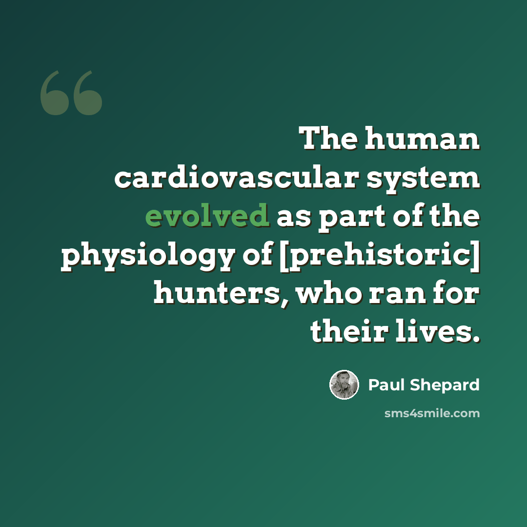 “The human cardiovascular system evolved as part of the physiology of [prehistoric] hunters, who ran for their lives.” quote by Paul Shepard