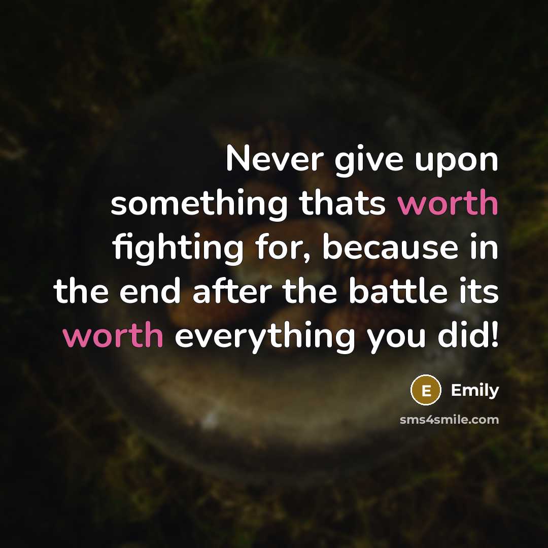 “Never give upon something thats worth fighting for, because in the end after the battle its worth everything you did!” quote by Emily