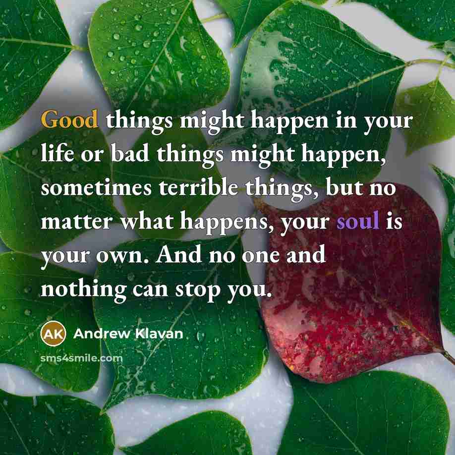 “Good things might happen in your life or bad things might happen, sometimes terrible things, but no matter what happens, your soul is your own. And no one and nothing can stop you.” quote by Andrew Klavan