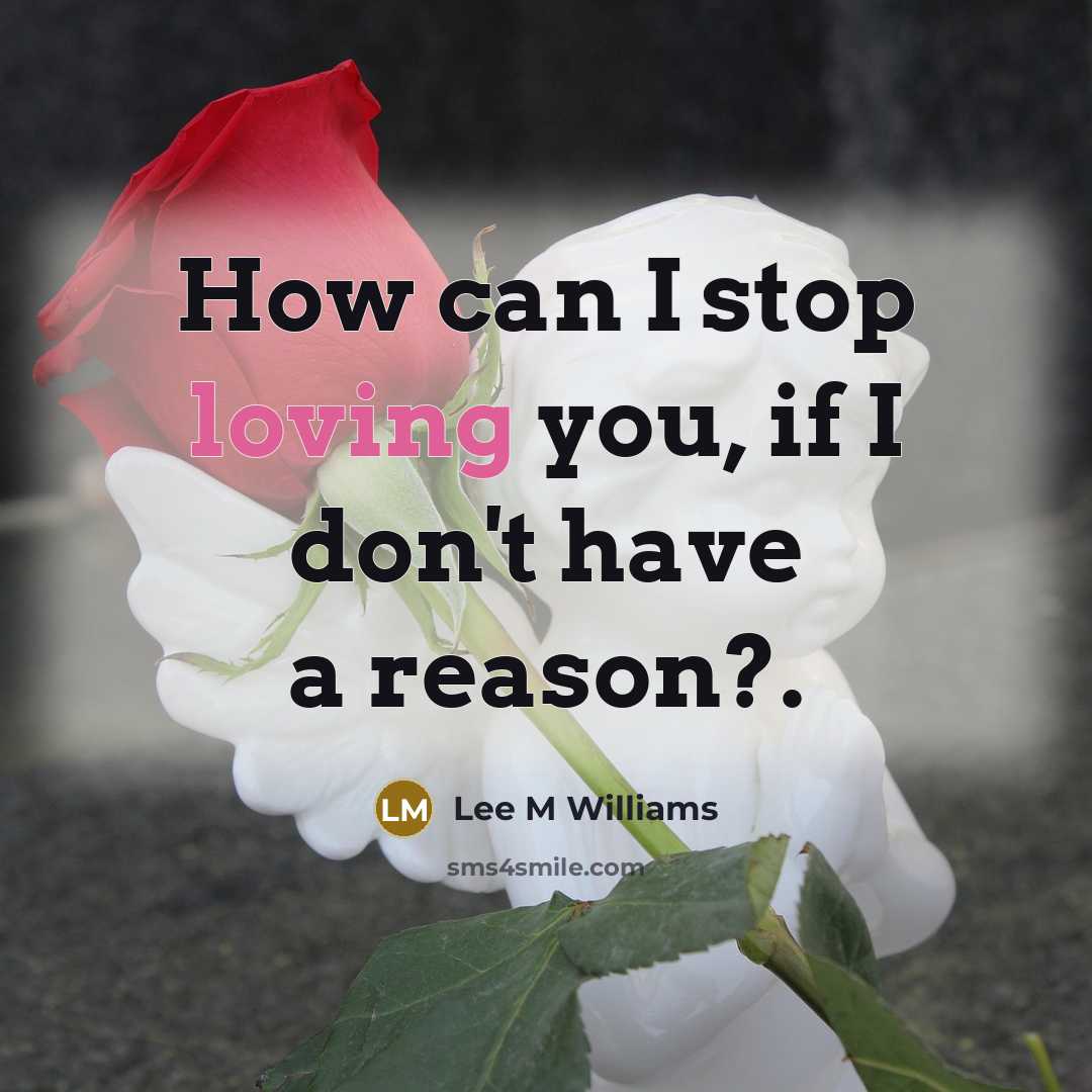 “How can I stop loving you, if I don't have a reason?.” quote by Lee M Williams