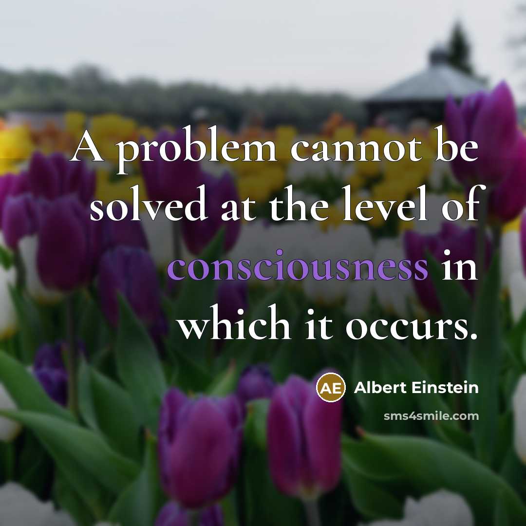 “A problem cannot be solved at the level of consciousness in which it occurs.” quote by Albert Einstein
