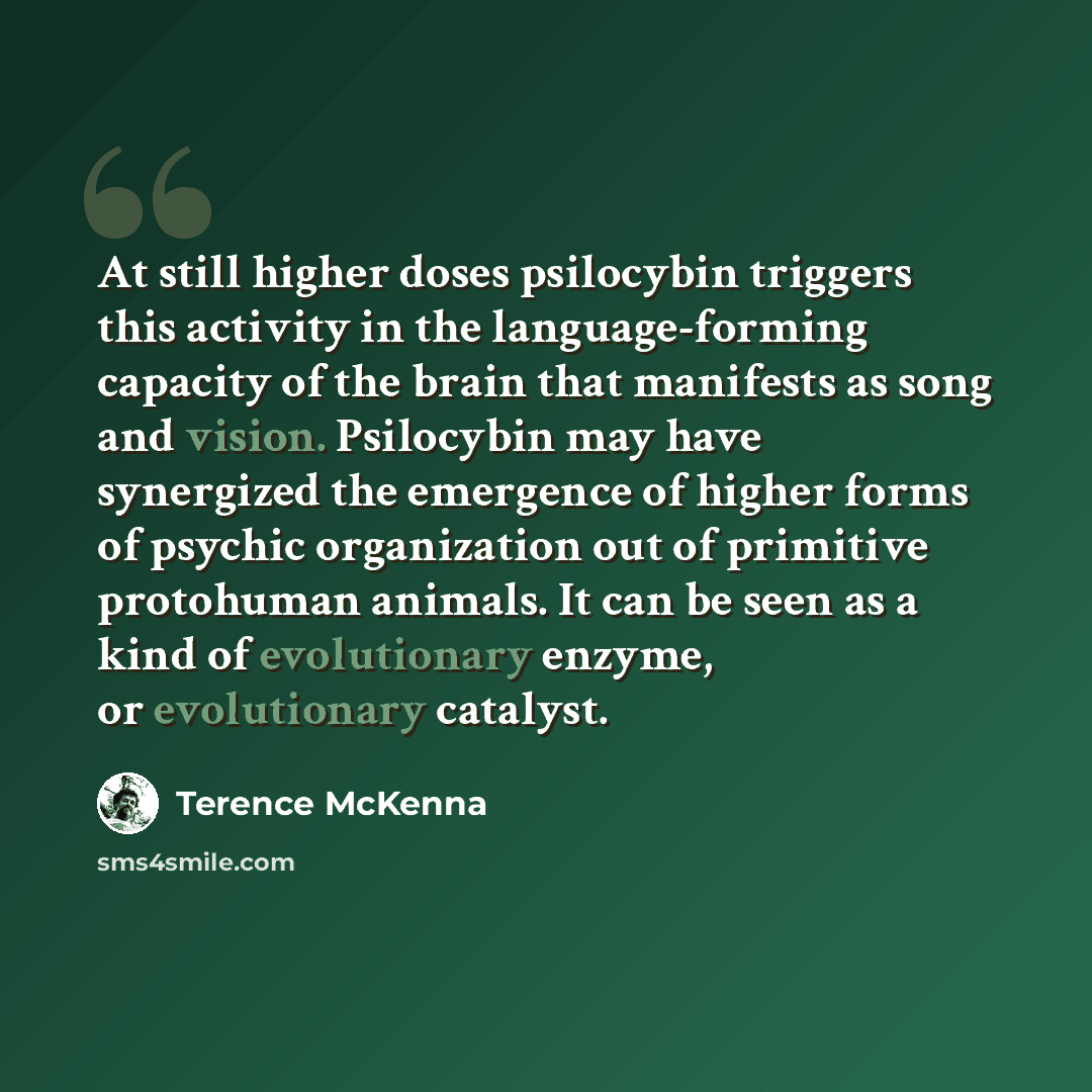 “At still higher doses psilocybin triggers this activity in the language-forming capacity of the brain that manifests as song and vision. Psilocybin may have synergized the emergence of higher forms of psychic organization out of primitive protohuman animals. It can be seen as a kind of…” quote by Terence McKenna