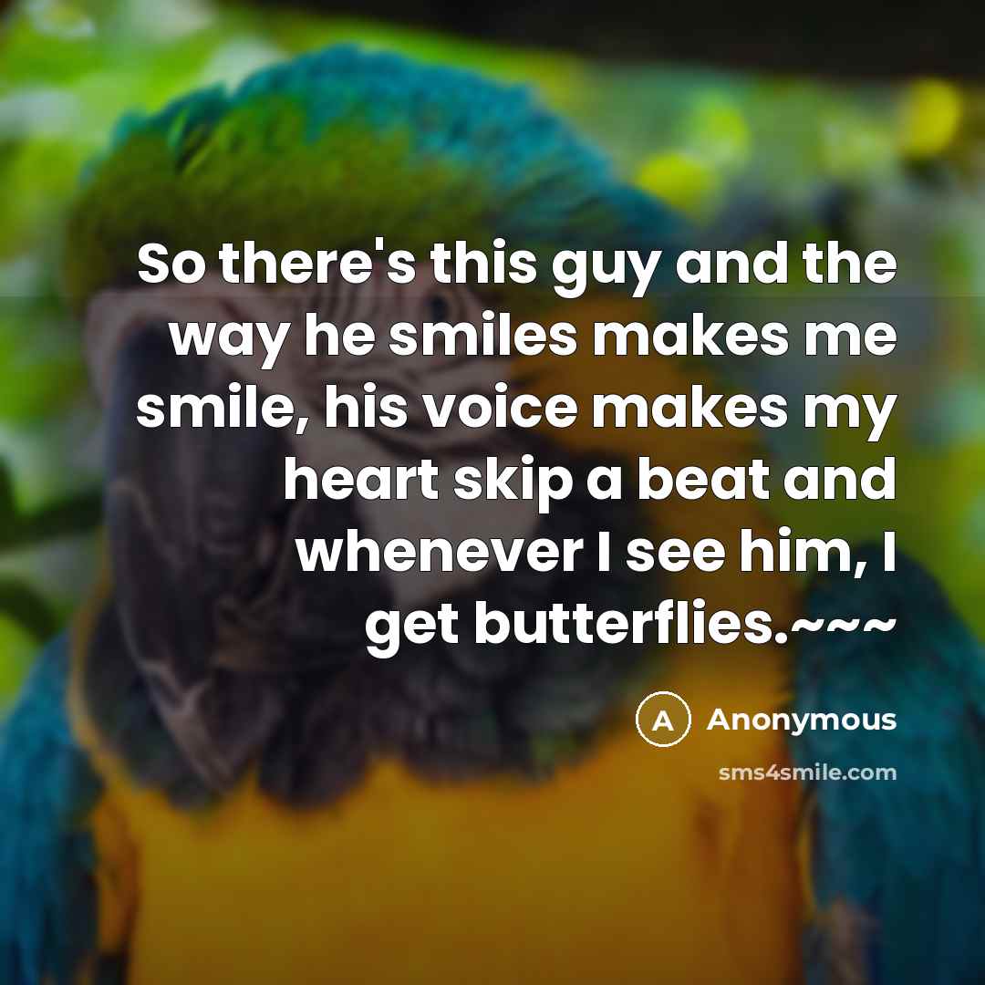“So there's this guy and the way he smiles makes me smile, his voice makes my heart skip a beat and whenever I see him, I get butterflies.~~~” quote by Anonymous