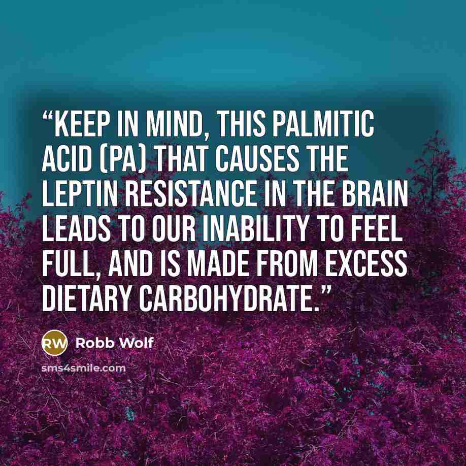 “Keep in mind, this Palmitic acid (PA) that causes the leptin resistance in the brain leads to our inability to feel full, and is made from excess dietary carbohydrate.” quote by Robb Wolf