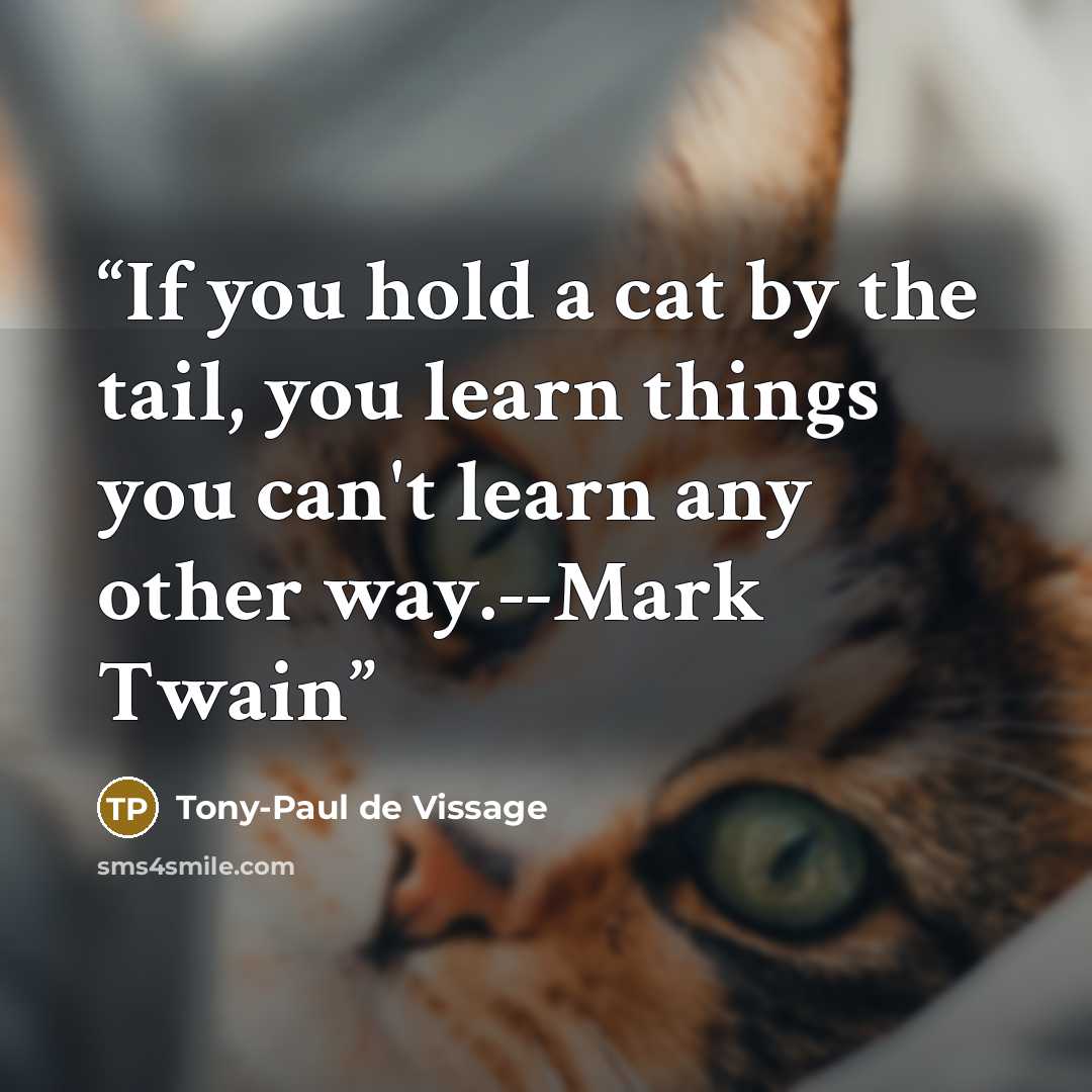 “If you hold a cat by the tail, you learn things you can't learn any other way.--Mark Twain” quote by Tony-Paul de Vissage