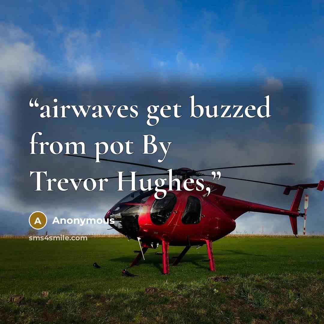“airwaves get buzzed from pot By Trevor Hughes,” quote by Anonymous