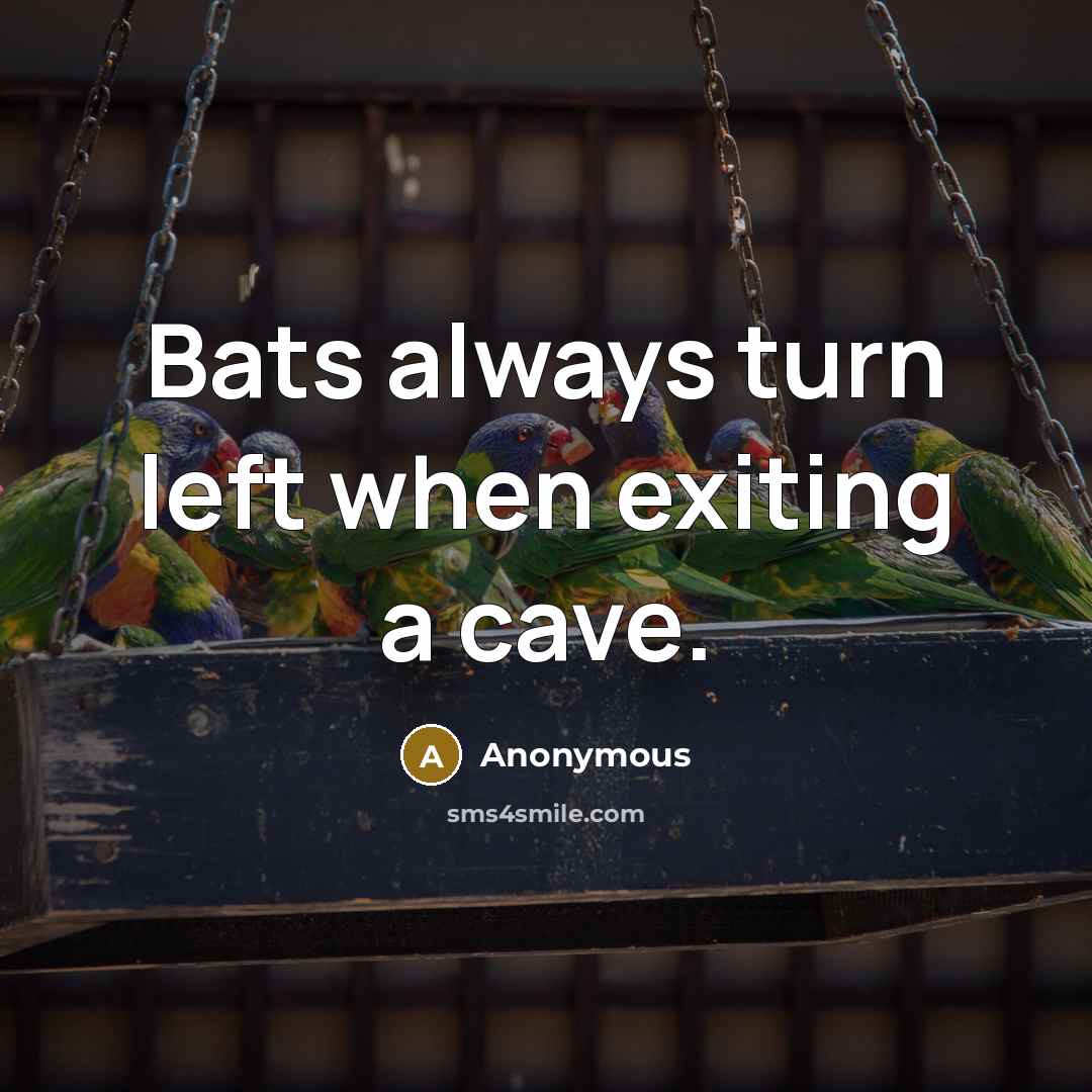 “Bats always turn left when exiting a cave.” quote by Anonymous