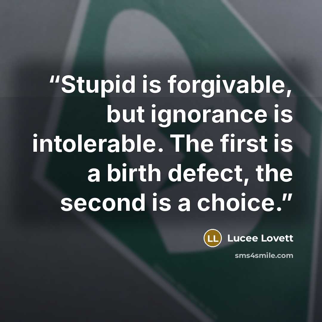 “Stupid is forgivable, but ignorance is intolerable. The first is a birth defect, the second is a choice.” quote by Lucee Lovett
