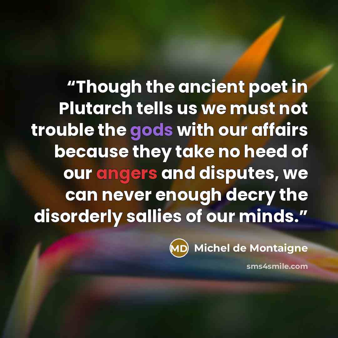 “Though the ancient poet in Plutarch tells us we must not trouble the gods with our affairs because they take no heed of our angers and disputes, we can never enough decry the disorderly sallies of our minds.” quote by Michel de Montaigne
