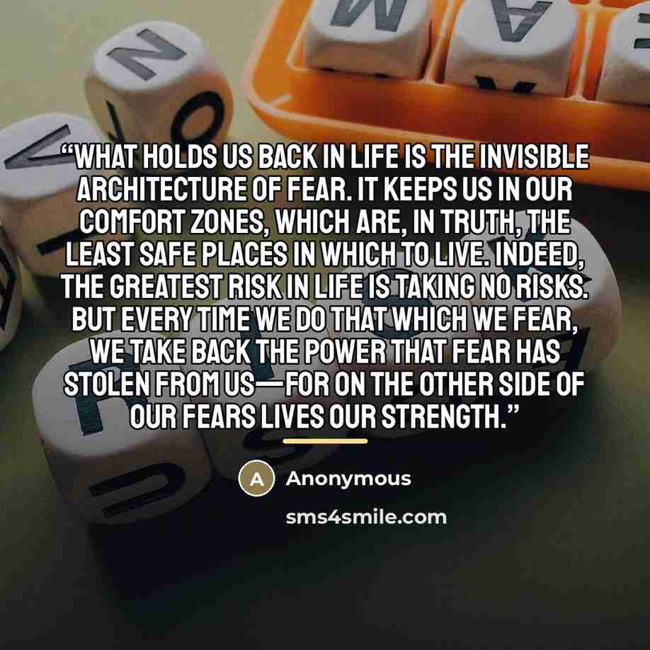 “What holds us back in life is the invisible architecture of fear. It keeps us in our comfort zones, which are, in truth, the least safe places in which to live. Indeed, the greatest risk in life is taking no risks. But every time we do that which we fear, we take back the power that fear has…” quote by Anonymous