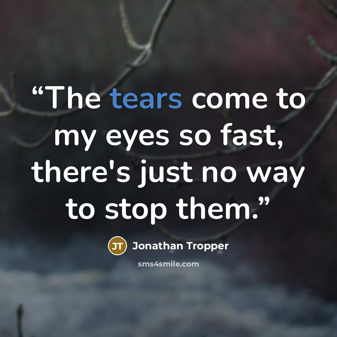 “The tears come to my eyes so fast, there's just no way to stop them.” quote by Jonathan Tropper