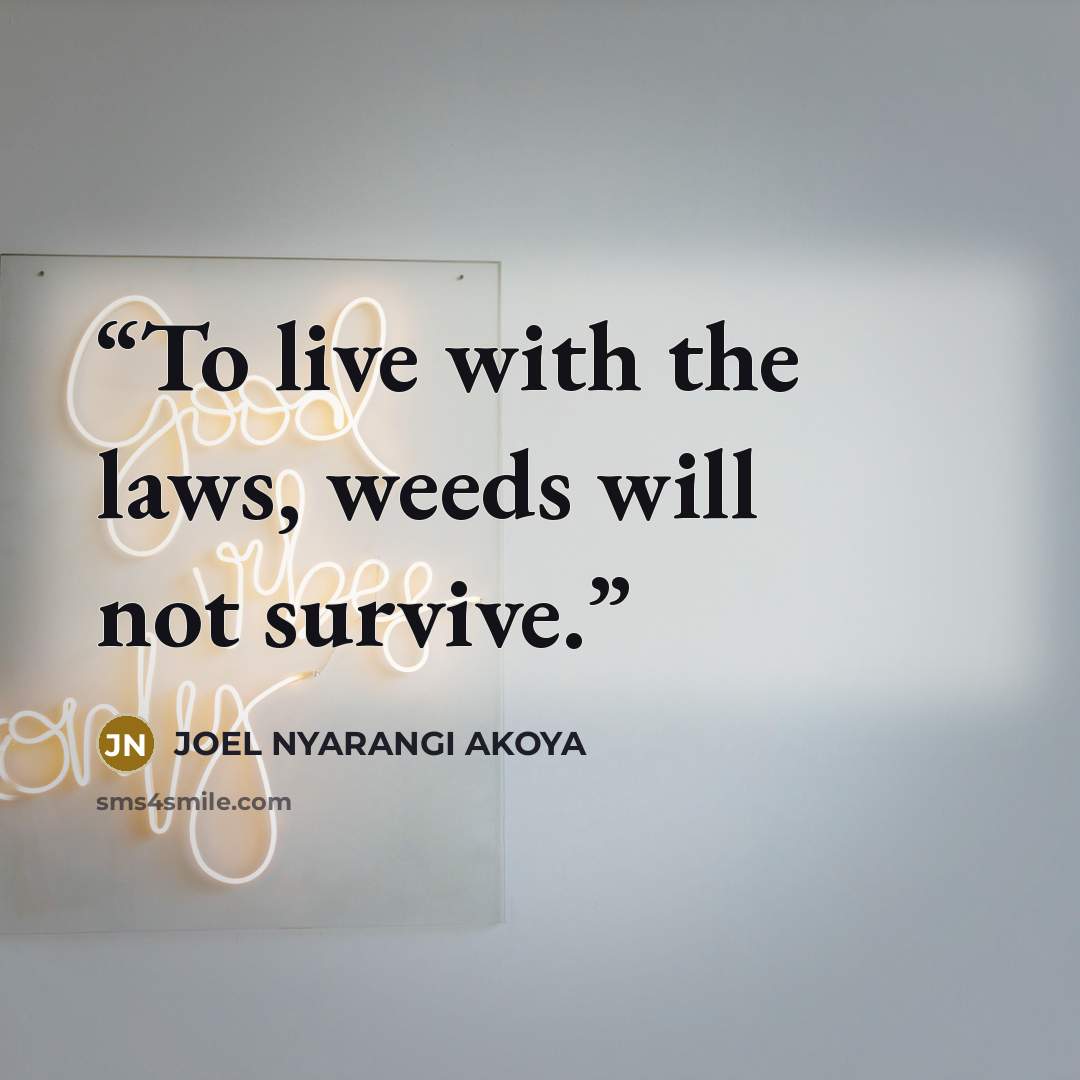 “To live with the laws, weeds will not survive.” quote by JOEL NYARANGI AKOYA