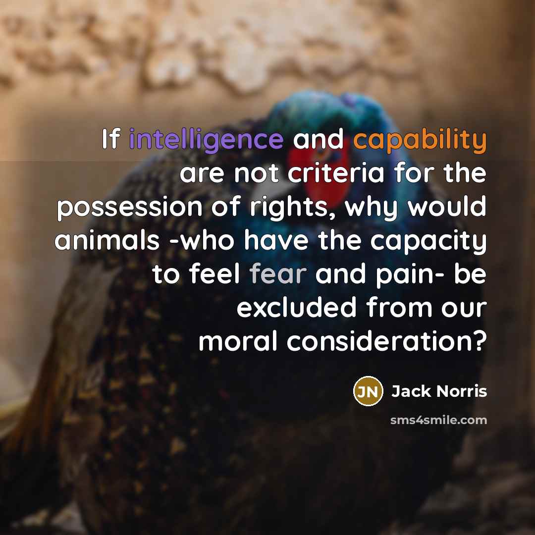 “If intelligence and capability are not criteria for the possession of rights, why would animals -who have the capacity to feel fear and pain- be excluded from our moral consideration?” quote by Jack Norris
